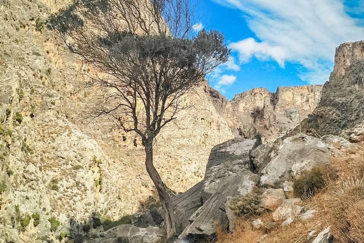 Вилла The Rock & The Lemon Tree Сития Экстерьер фото